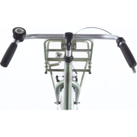 Alpina Cargo 22 inch Velvet Green Matt