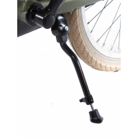 Alpina Cargo 22 inch Velvet Green Matt