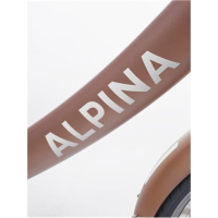 Alpina Clubb 20 inch Rose Gold Matt