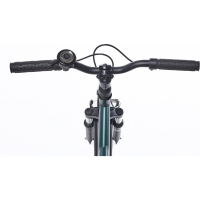 Alpina Yabber 22 inch - Pine Green Matt / Vivid Black Matt