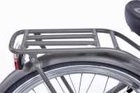 Alpina Clubb 24 inch Vintage Gold Matt