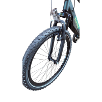 Alpina Trial 24 inch - Pine Green Matte