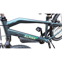 Alpina Trial 24 inch - Pine Green Matte