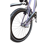 Alpina Trial 26 inch - Pearl Blackberry Gloss