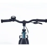 Alpina Yabber 18 inch Pine Green Matt - Vivid Black Matt