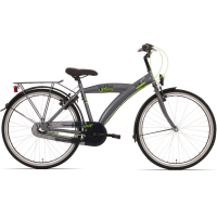 BikeFun Urban City 24 inch Nexus 3 - Titanium