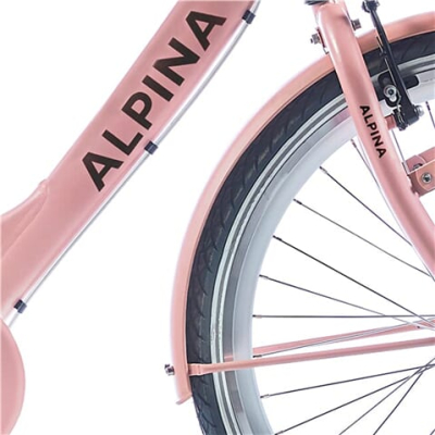 Spatbordset Alpina Clubb 24 - Desert Pink Matt