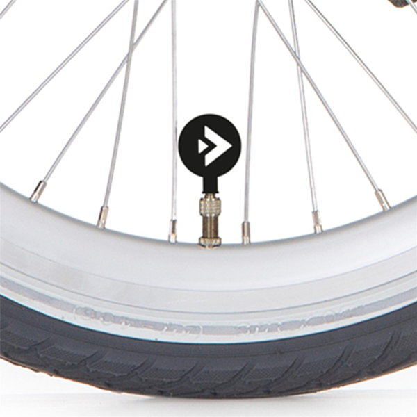 Ventieldop Logo - Alpina