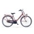 Alpina Clubb 26 inch - Desert Pink Matt