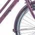 Spatbordset 26 inch Dark Mauve Matt - Alpina