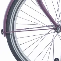 Spatbordstangen 26 inch Dark Mauve Matt - Alpina