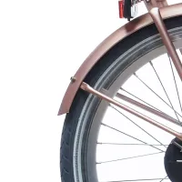 Spatbordset Alpina Clubb 22 inch - Rose Gold Matt