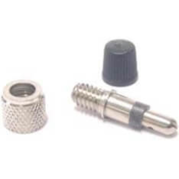 Ventiel Dunlop/Blitz/Hollands