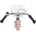 Alpina Ocean 16 inch Misty Pink Matt