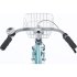 Alpina Ocean 18 inch Soft Green Matt