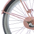 Spatbordstangen Alpina Clubb 26 - Desert Pink Matt