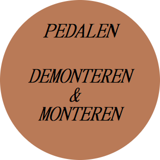 Fiets Pedalen Vervangen