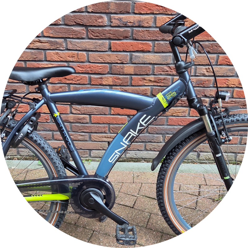 Batavus Snake 26 inch opknappen