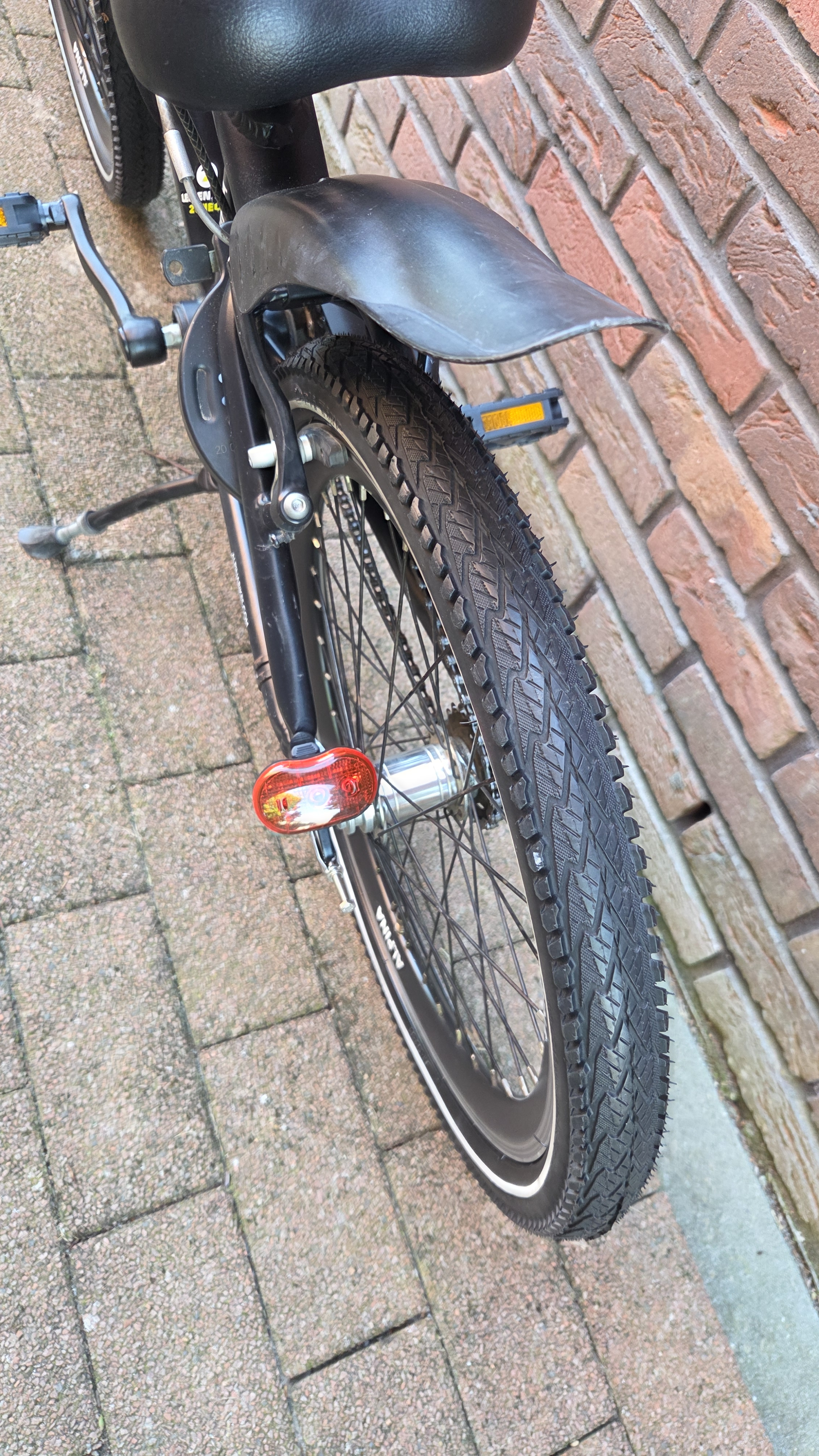 Achterkant Alpina Trial 20 inch